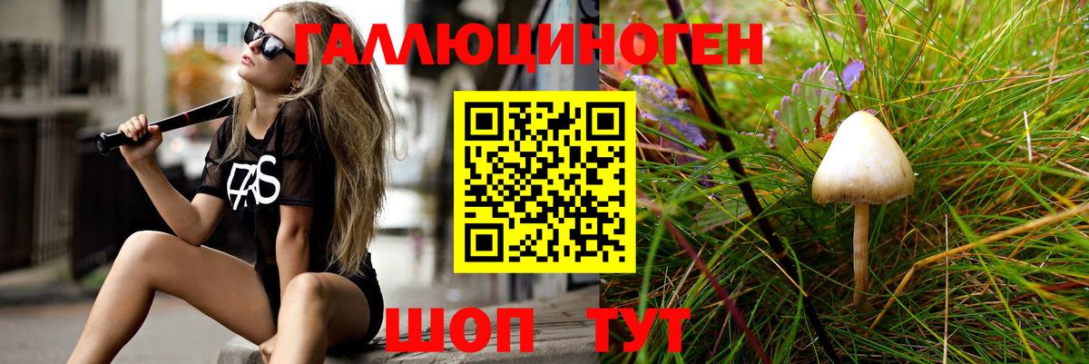 Барабинск  Галлюциногенные грибы мицелий  Вход с VPN 