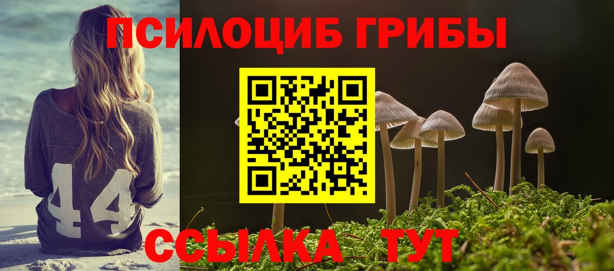 Псилоцибиновые грибы мицелий Барабинск